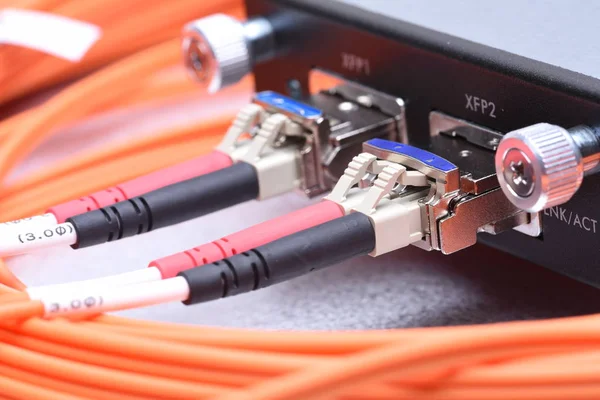 Nätverk Optisk Fiberkablar Anslutna Till Gigabit Gränssnitt Omvandlare — Stockfoto