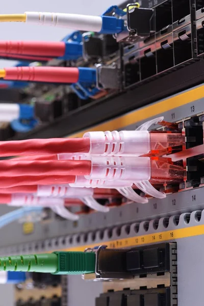 Network cables in internet data center — Stock Photo, Image