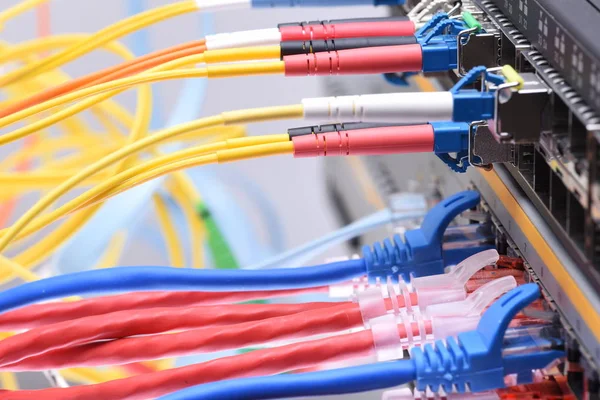 Network cables in internet data center Stock Image