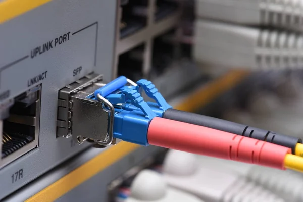 Мережа Ethernet Волоконно Оптичний Кабель Підключений Перемикача Інтернету — стокове фото