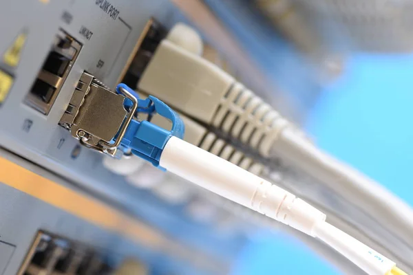 Kabel Patch Serat Optik Dan Kabel Jaringan Yang Terhubung Switch — Stok Foto