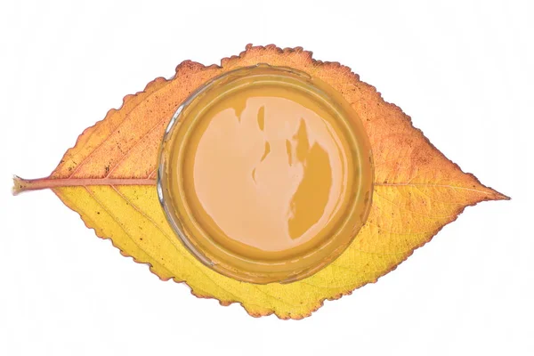 Autumn leaf with paind can lid — Stock Photo, Image