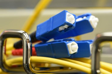 Sc ile optik fiber kablo konektörleri yakın çekim yazın