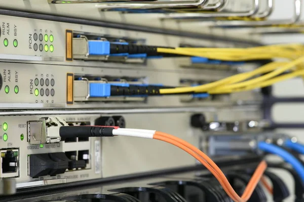 Cables Dispositivos Red Óptica Centro Datos Tecnología —  Fotos de Stock