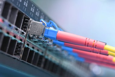 Optik fiber yama halatlar GBIC ile bağlı anahtarı, bilgi teknolojisi, portre