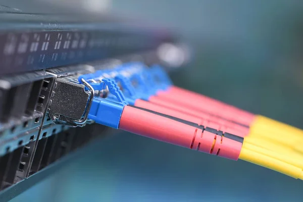 Optical fibre patch cords with gbic connected to the switch, information technology, closeup