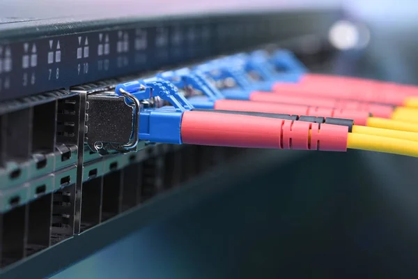 Optical Fibre Patch Cords Gbic Connected Switch Information Technology Closeup — Stock Photo, Image