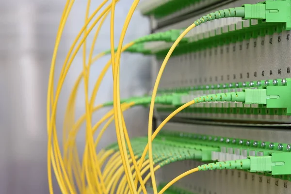 Technology Network Center Fiber Optic Patch Cord Distribution Panel — Stock Photo, Image