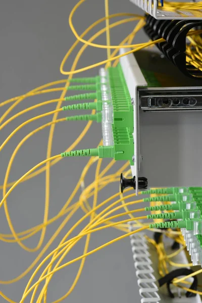 Pannello Distribuzione Fibra Ottica Con Cavi Nella Sala Server — Foto Stock