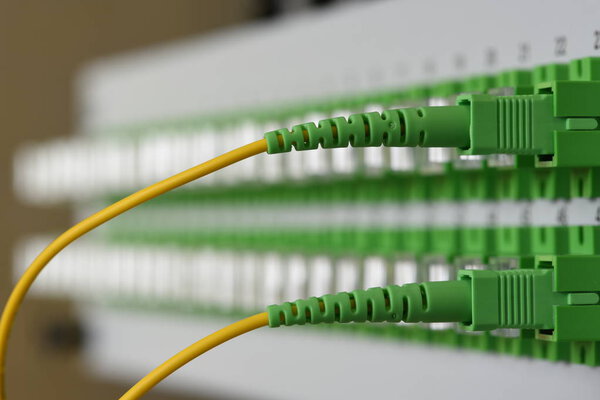 Optical distribution panel with connected patch cord cable