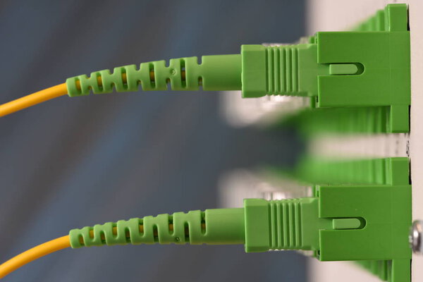 Optical distribution panel with connected patch cord cable
