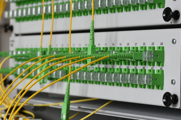 Panel Optical Cables Server Room — Stock Photo, Image