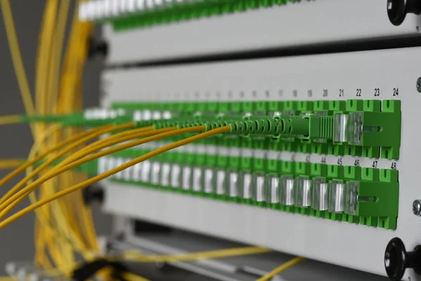 Panel Optical Cables Server Room — Stock Photo, Image