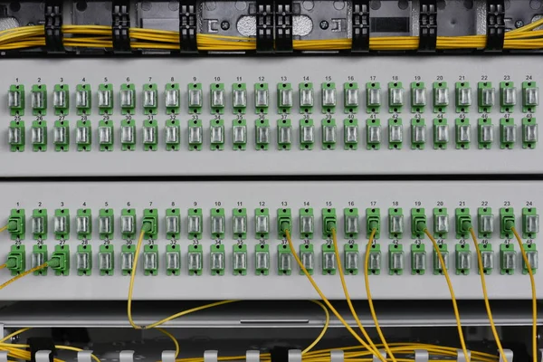 Panel Distribución Red Fibra Con Cables Red Óptica —  Fotos de Stock