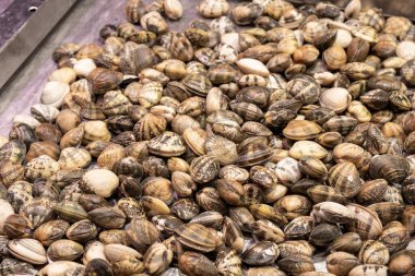 Balık pazarında deniz ürünleri kabuklu deniz ürünleri