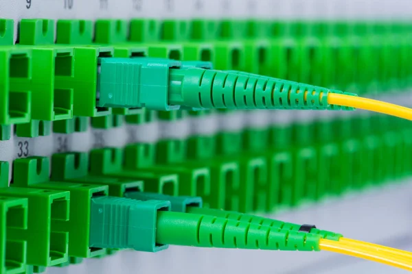 Optical Cables Fiber Optic Patch Panel — Stock Photo, Image