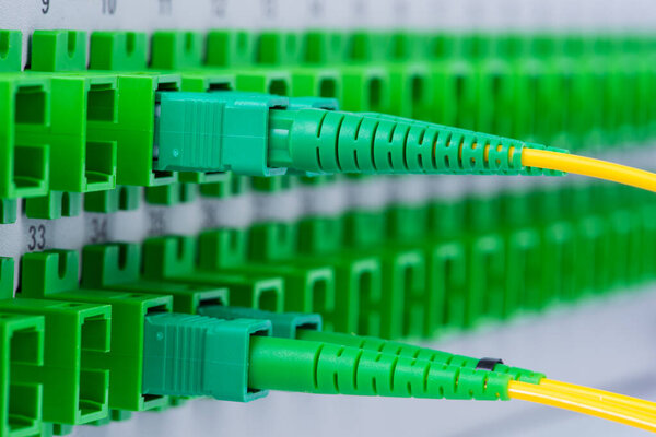 Optical Cables in the Fiber Optic Patch Panel