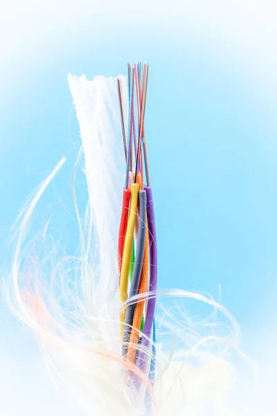 Cable Fibra Óptica Despojado Para Empalme Fusión — Foto de Stock