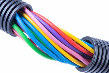 Beyaz arka planda izole edilmiş koruyucu kıvrımlı borulardaki renkli elektrik kabloları
