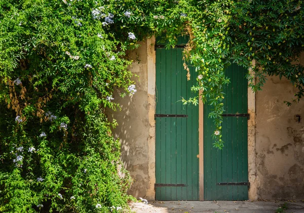 Oude Houten Deur Huis Met Klimop Muur — Stockfoto