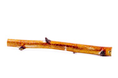 Beyaz arkaplanda huş kabuğu izole