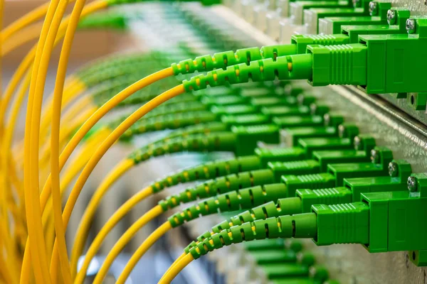 Optic Fiber Distribution Patch Panel Connected Optical Cable Telecommunication Hardware — Stock Photo, Image