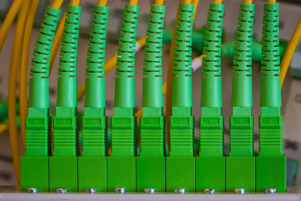 Equipo Tecnología Información Panel Distribución Óptica Con Cable Conexión Primer —  Fotos de Stock