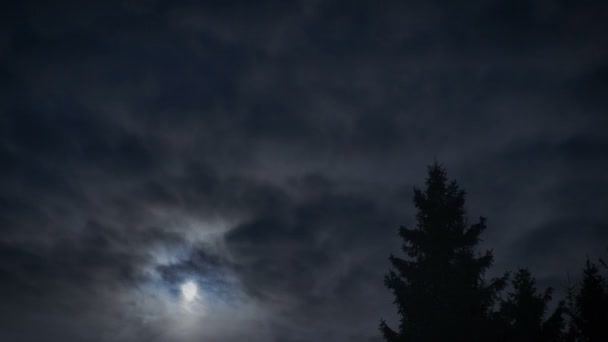 Luna nel cielo notturno timelapce — Video Stock