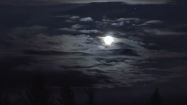 Luna nel cielo notturno timelapce — Video Stock