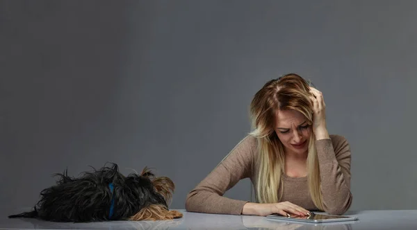 Mujer con perro sufriendo de estrés —  Fotos de Stock