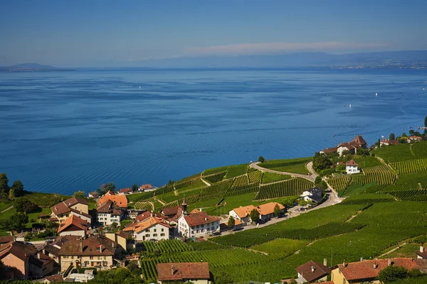 Výhled na vinice a jezero Leman v blízkosti Lausanne ve Švýcarsku — Stock fotografie