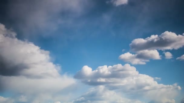 Včasné valící se mraky, mraky běžící po jasně modré obloze, Cumulus mrak tvořící se proti tmavě modré obloze. Včasná doba bílých mraků s modrou oblohou. — Stock video