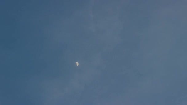 Cielo de la tarde con media luna en las nubes, lapso de tiempo — Vídeos de Stock