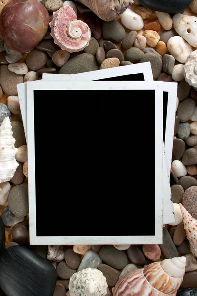 Retro Photo Framework Sea Stone Shell — Stock Photo, Image