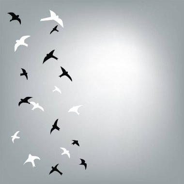 Kart için gökyüzü arka planda uçan kuşlar