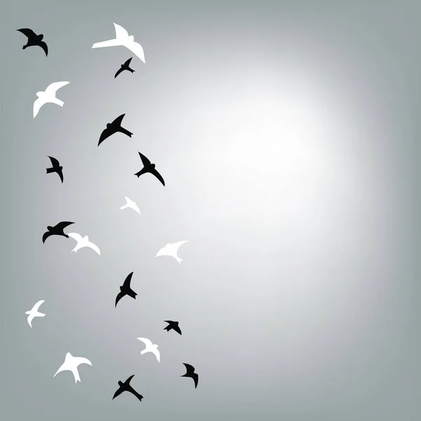 Pájaros volando en el fondo del cielo para la tarjeta — Vector de stock