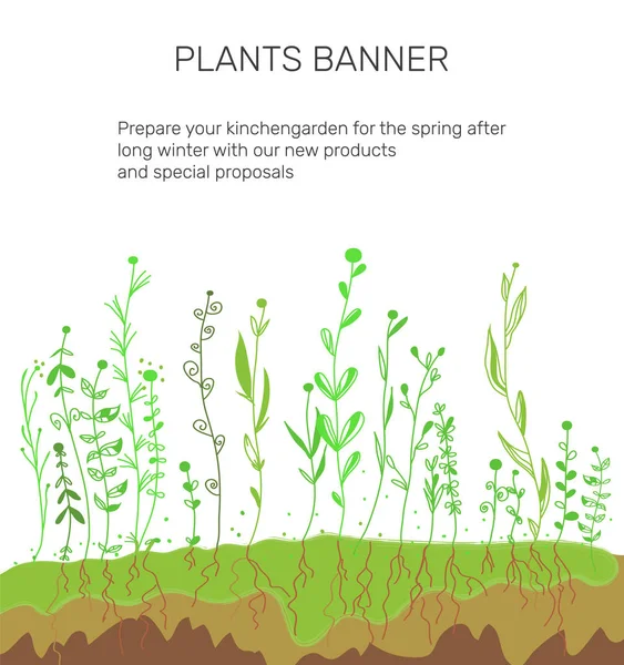 Pflanzen Und Boden Hintergrund Für Landwirtschaftliche Banner Vektorgrafische Illustration — Stockvektor