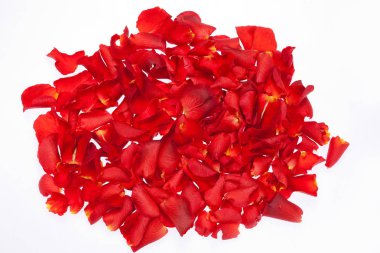 Beyaz üzerine gül yaprakları