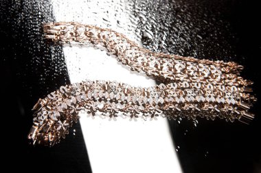 Zemin üzerine altın bilezik