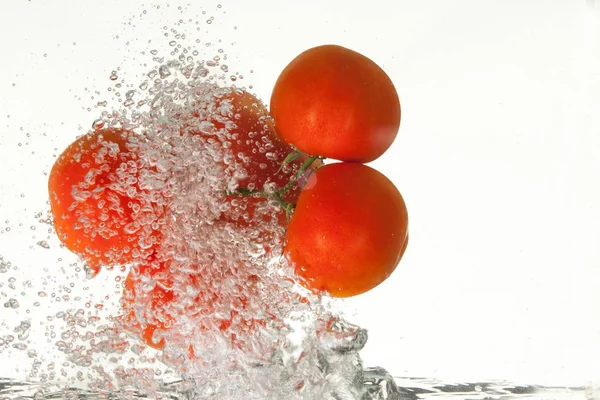 Tomaat in het water — Stockfoto
