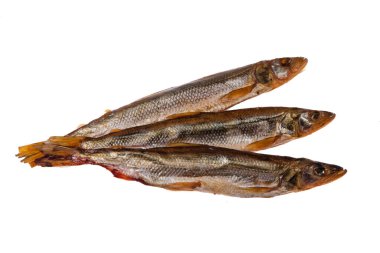 Izole stüdyo arka plan üzerinde Balık