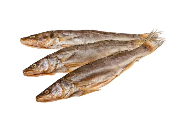 Fisch Auf Isoliertem Studiohintergrund — Stockfoto