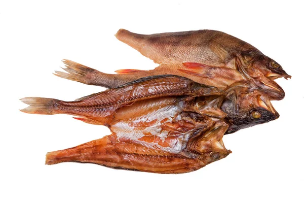 Рыба Изолированном Студийном Фоне — стоковое фото
