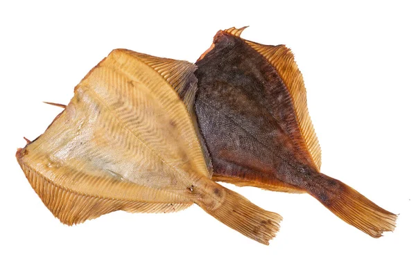 Риба Ізольованому Студійному Фоні — стокове фото