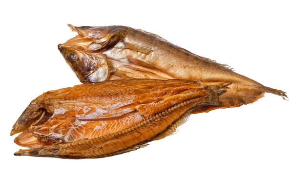 Pescado Fondo Estudio Aislado — Foto de Stock