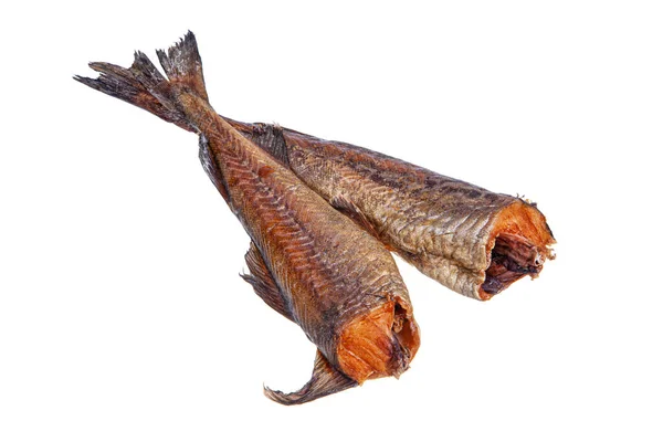 Geräucherter Roter Fisch Auf Isoliertem Studiohintergrund — Stockfoto