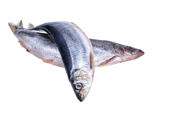 Pescado Salado Sobre Fondo Estudio Aislado — Foto de Stock