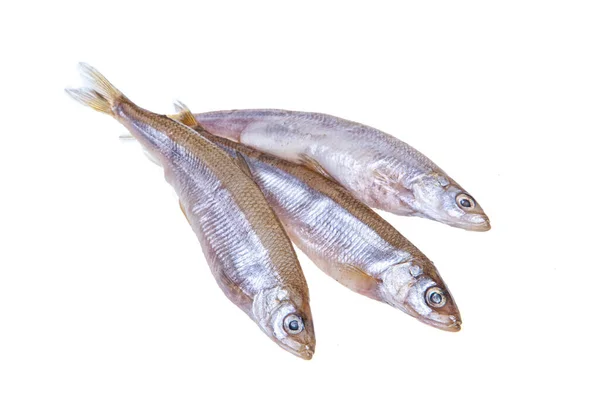 Pescado Salado Sobre Fondo Estudio Aislado — Foto de Stock