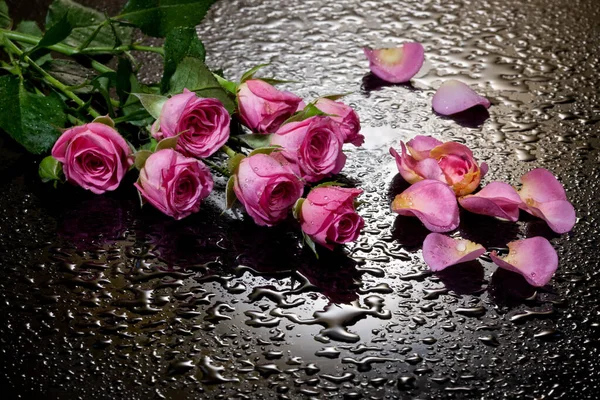 Tres Rosas Rojas Sobre Fondo Negro Con Gotas Agua —  Fotos de Stock