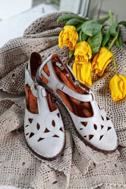 Stüdyo arka planında aksesuarları olan farklı ayakkabılar.